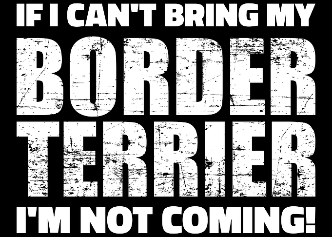 Border Terrier