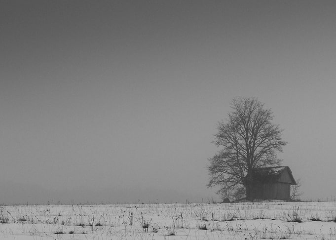 Together Alone