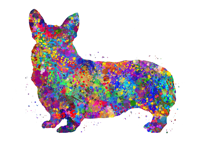 Pembroke Welsh Corgi dog