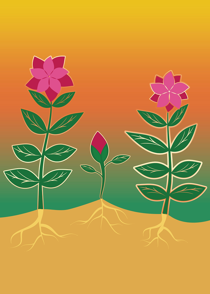Flowers and petal glitter