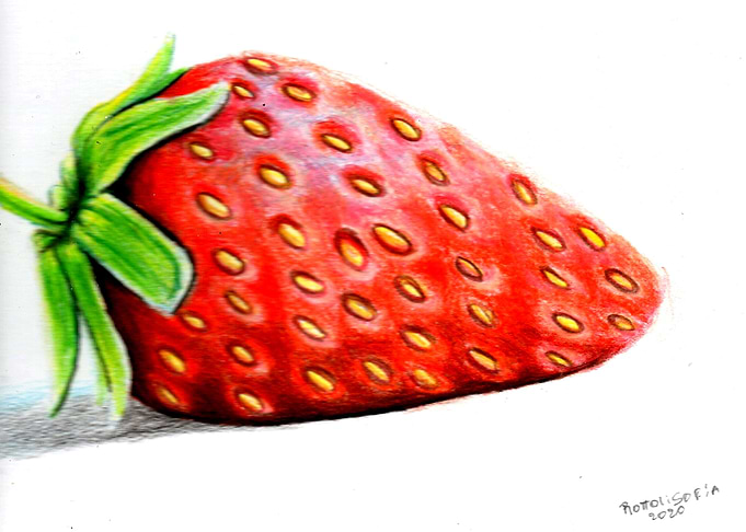 Strawberry fresa frutilla