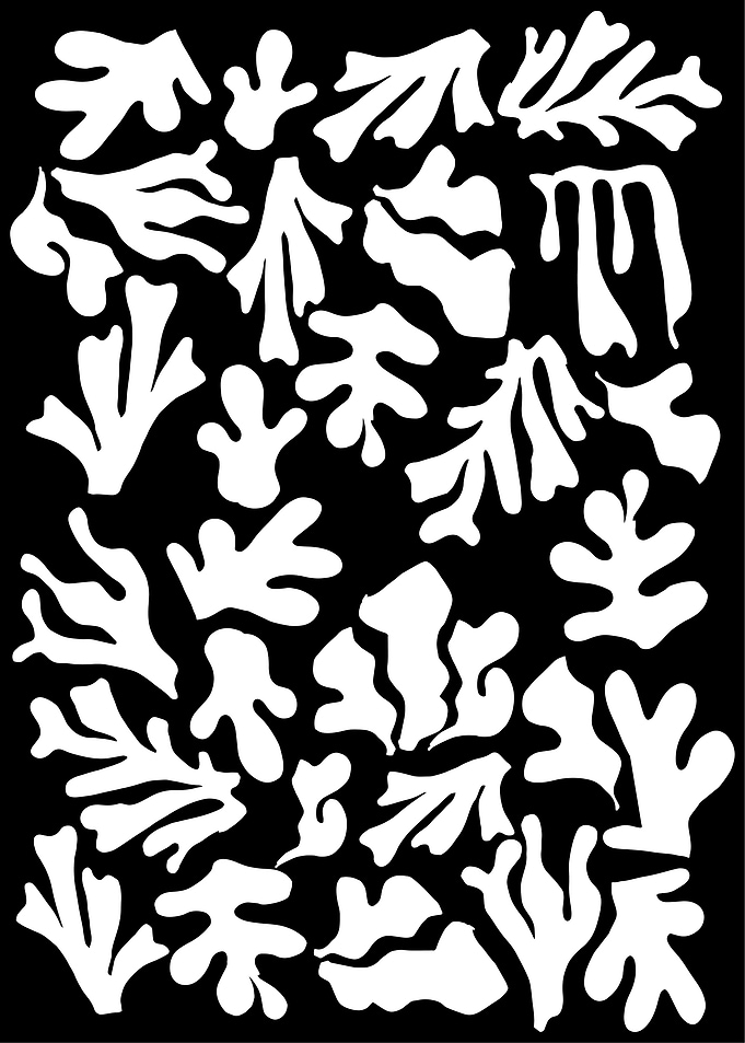 Matisse Aesthetics