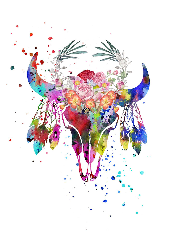Buffalo skull