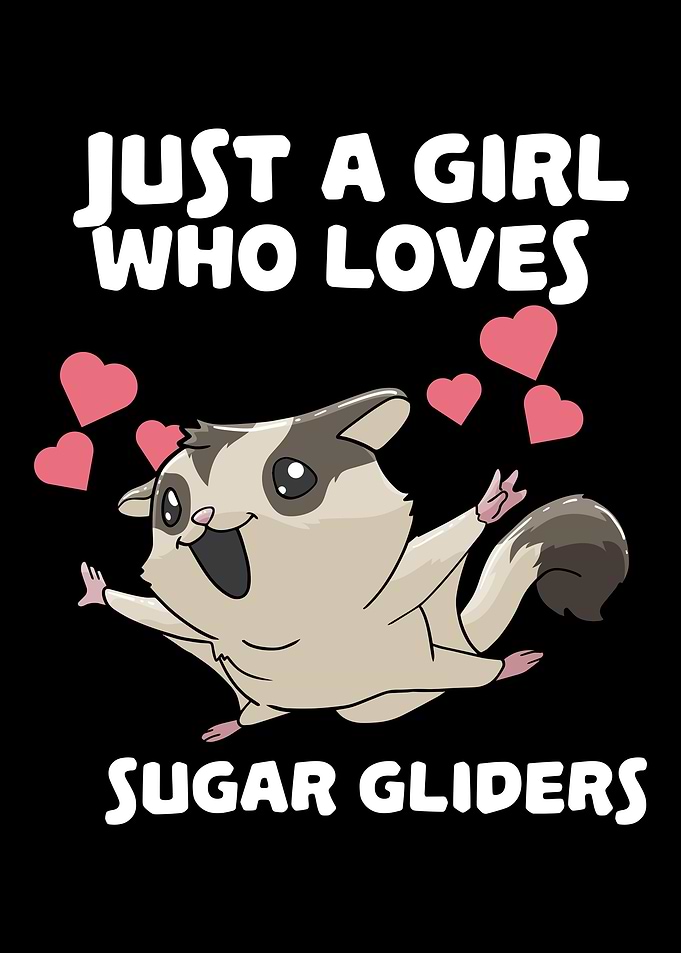 Sugar Glider Sugar Glider