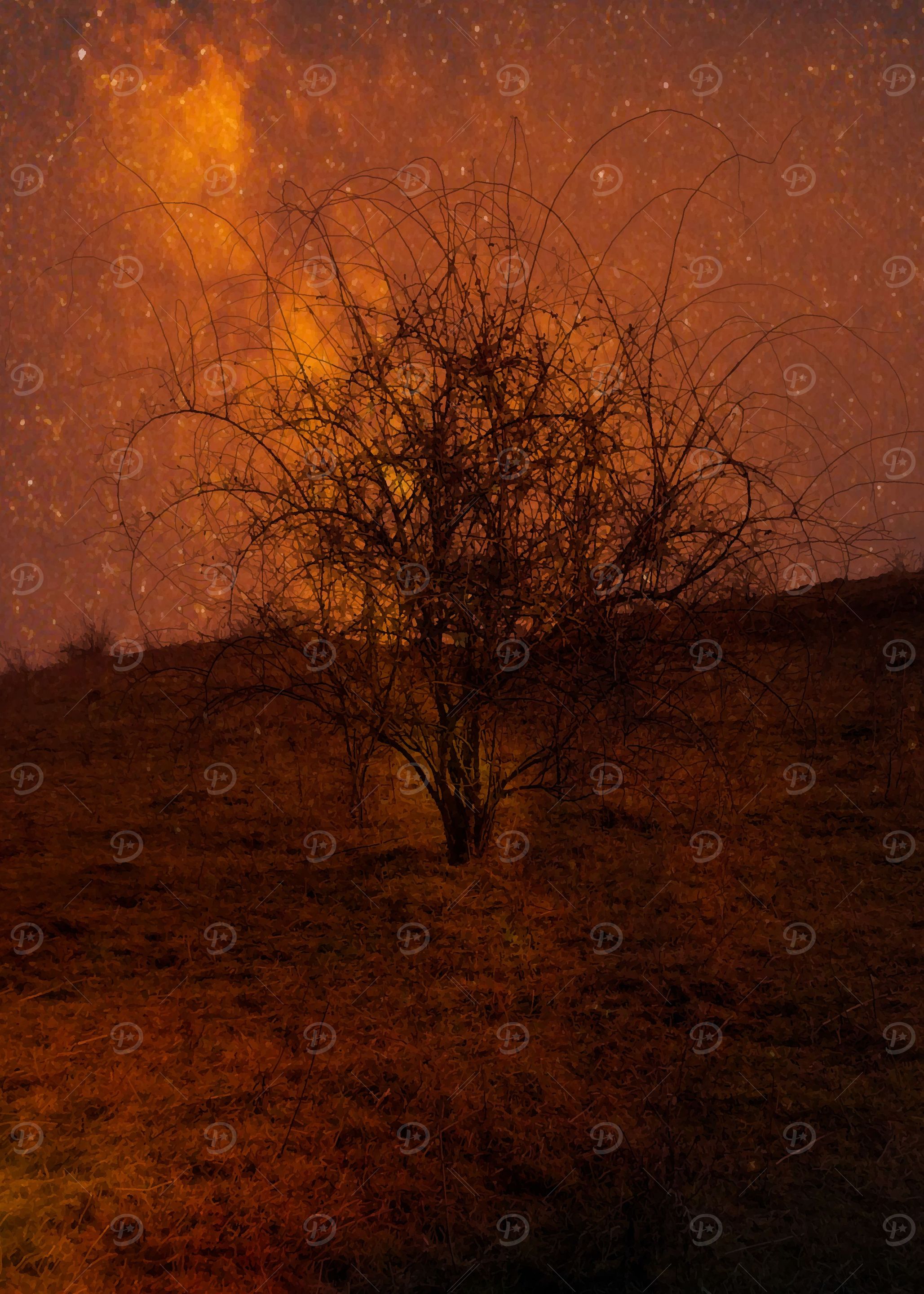 Tree on Mars