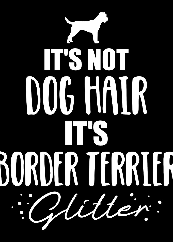 Border Terrier
