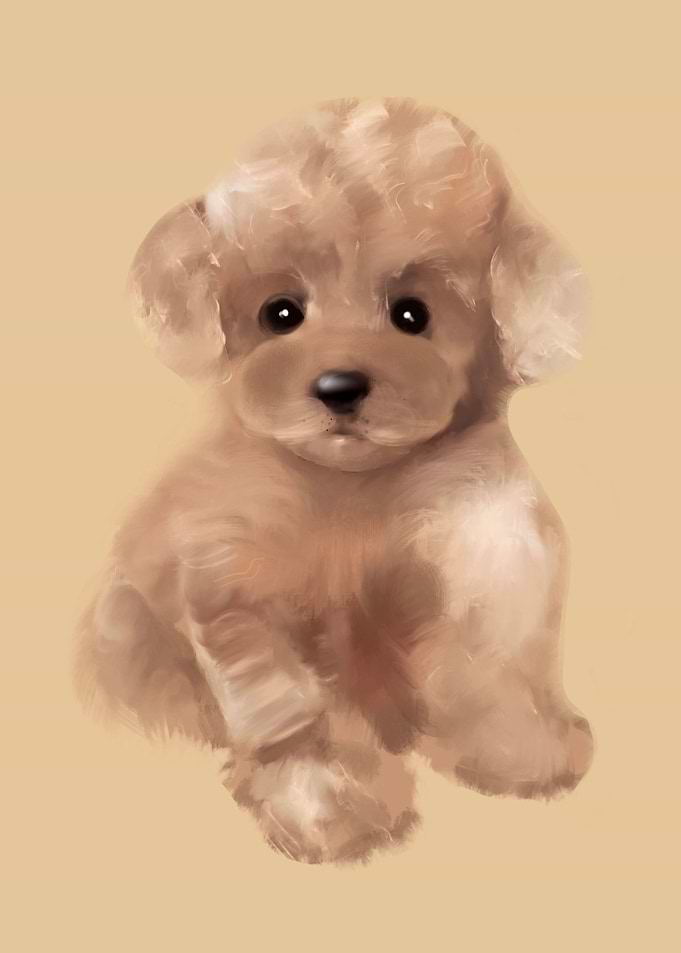 Toy poodle puppy art