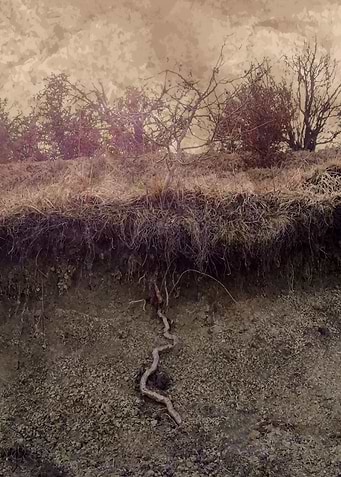 Grounding roots