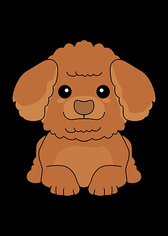 Toy Poodle