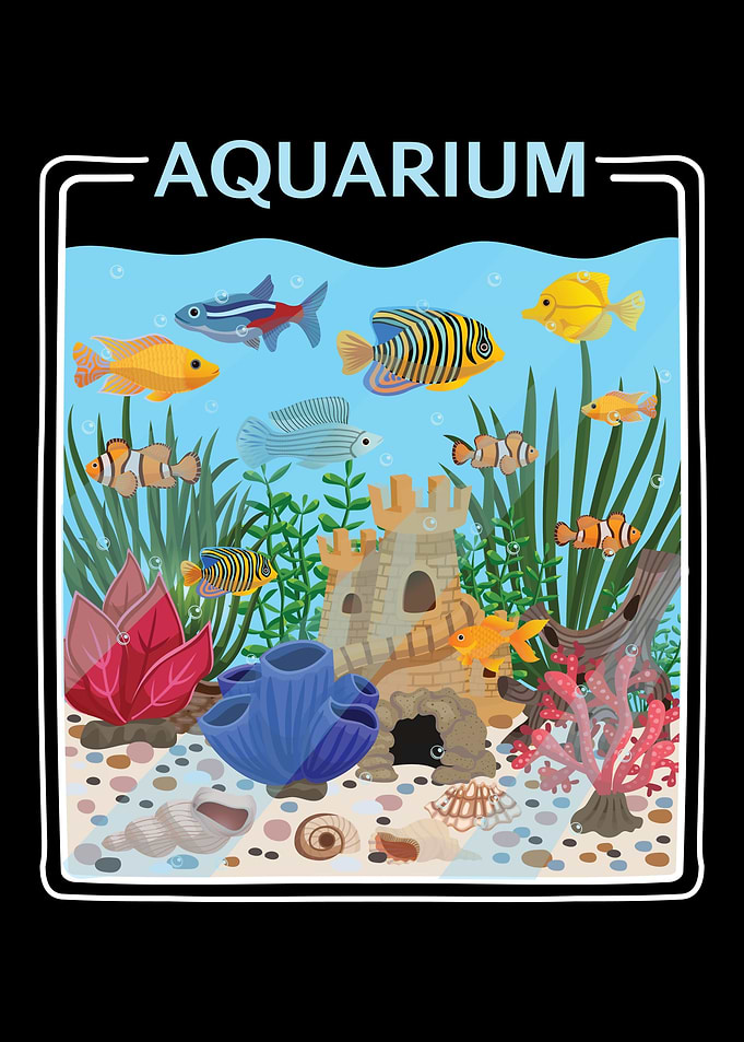 Aquarium Fish Turtle Keepe