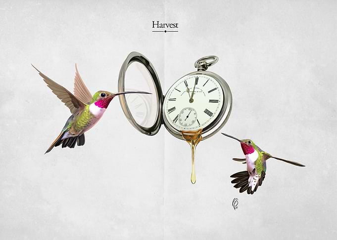 Harvest