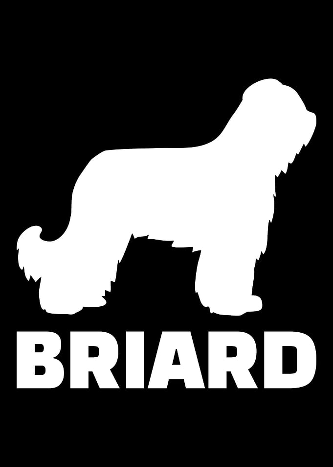 Briard