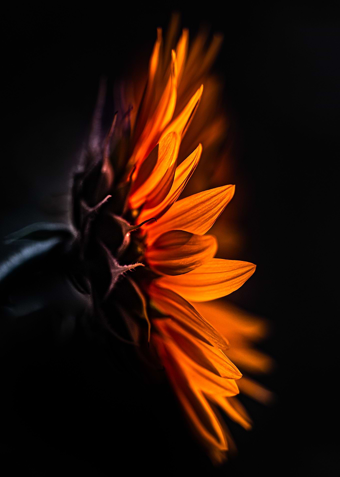 Glowing