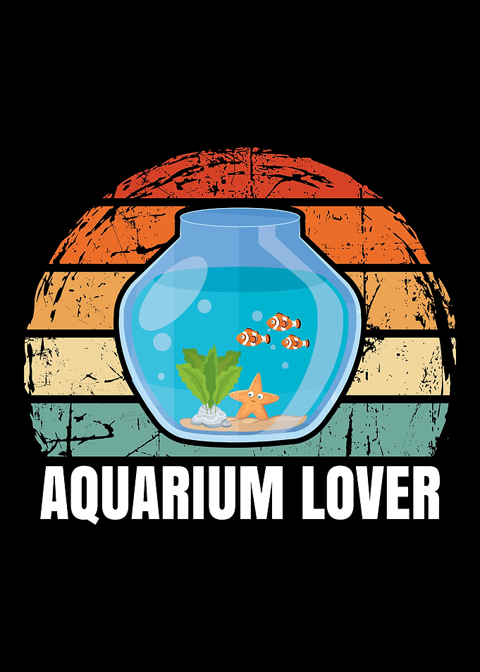 Aquarium Fish Turtle Gift