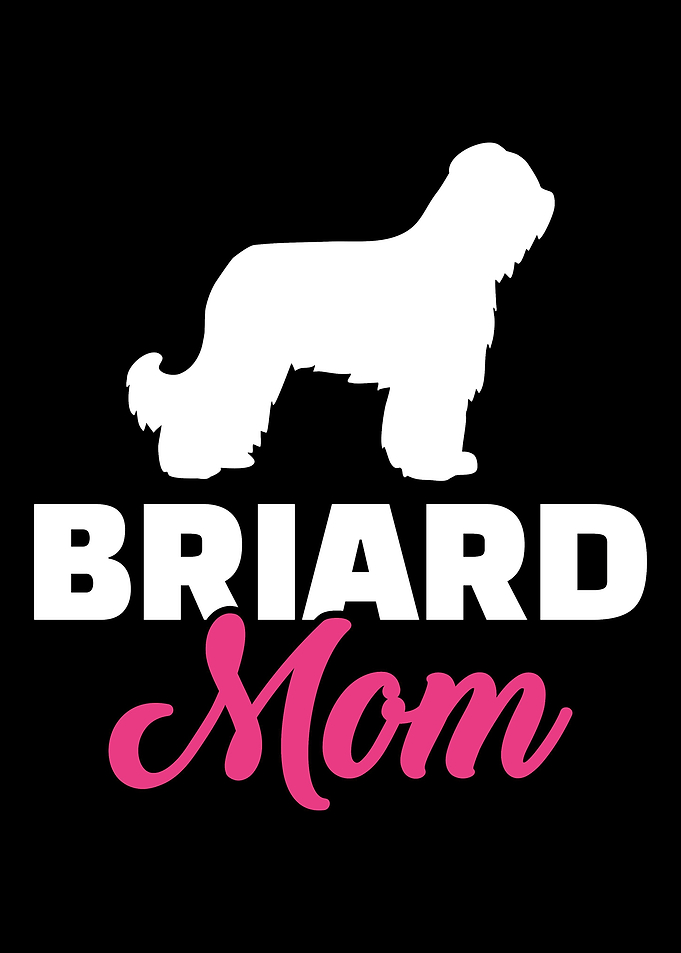 Briard