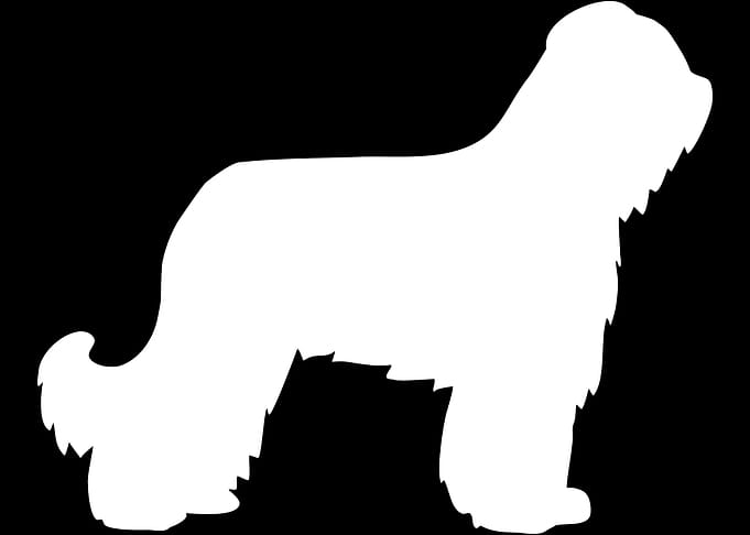 Briard