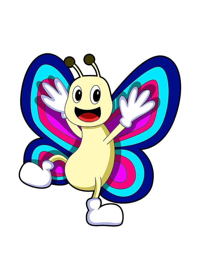 Butterfly Colorful