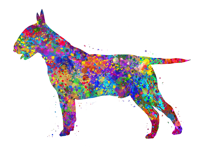 Bull Terrier dog