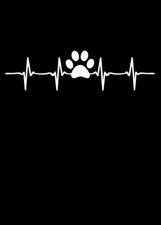 Dog Lover