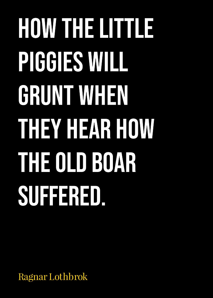 Ragnar Lothbrok Quote