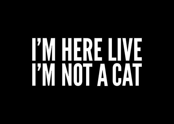 Im here live Im not a cat