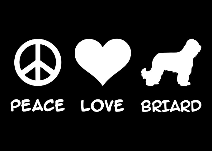 Briard