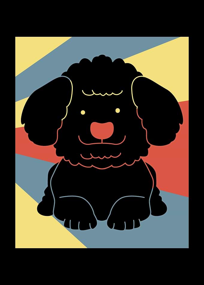 Cute Poodle Dog