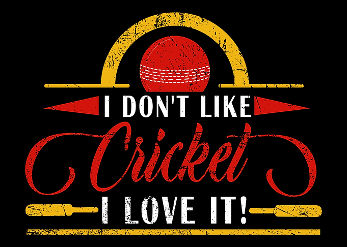 Cricket Player Batsman