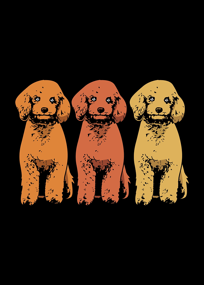 Poodle Dog