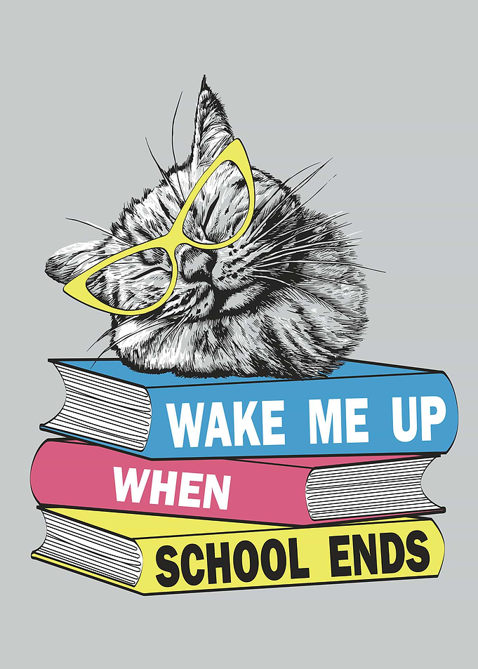 Sleeping cat