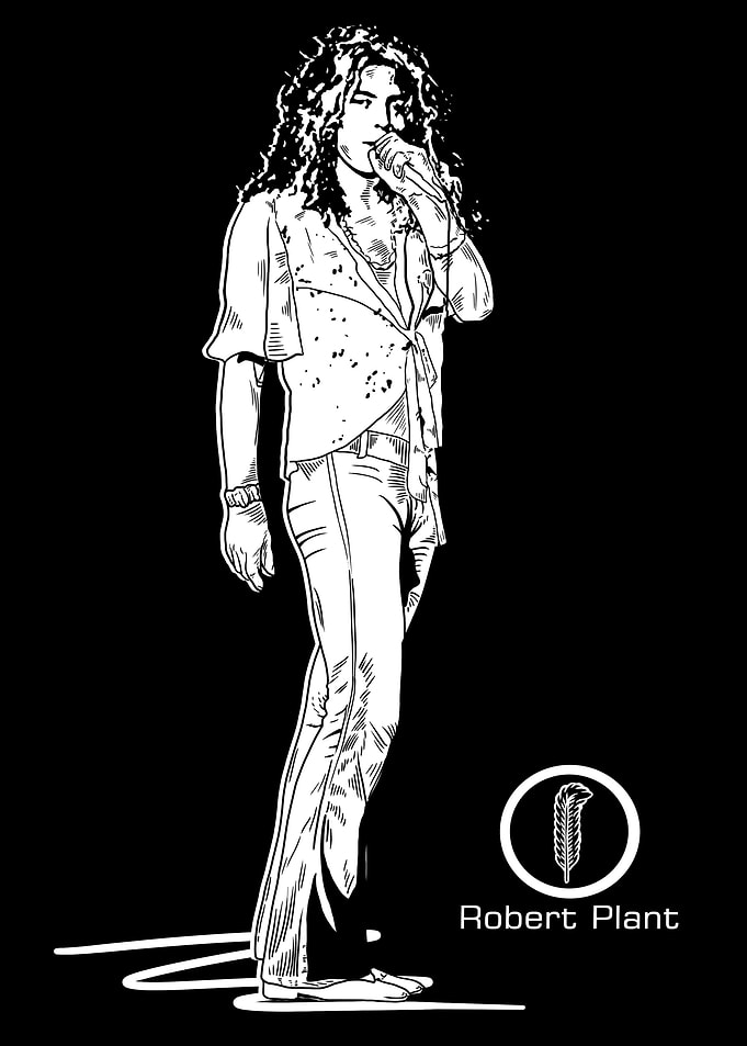 Vocalist Musician