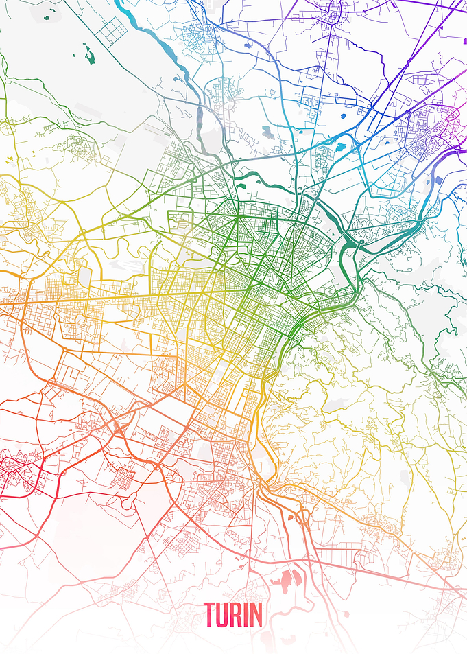 Turin map