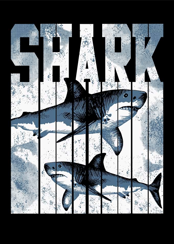 Shark