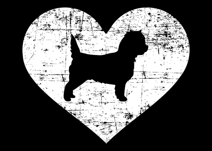 Cairn Terrier