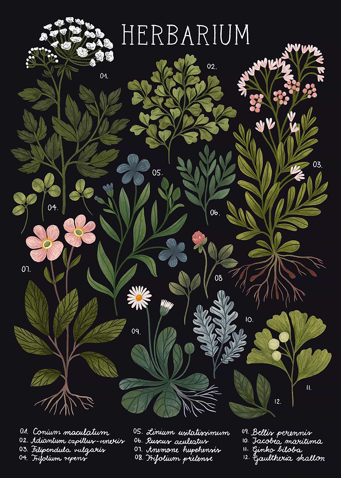 Herbarium Dark