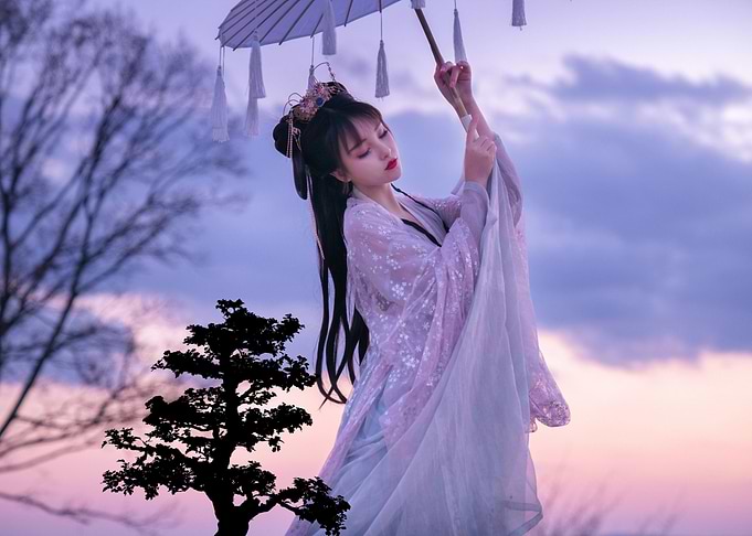 Japanase Geisha Parasol