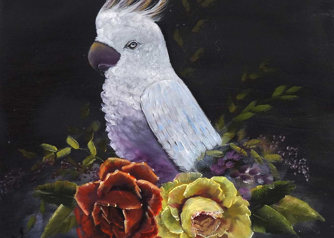 White Cockatoo