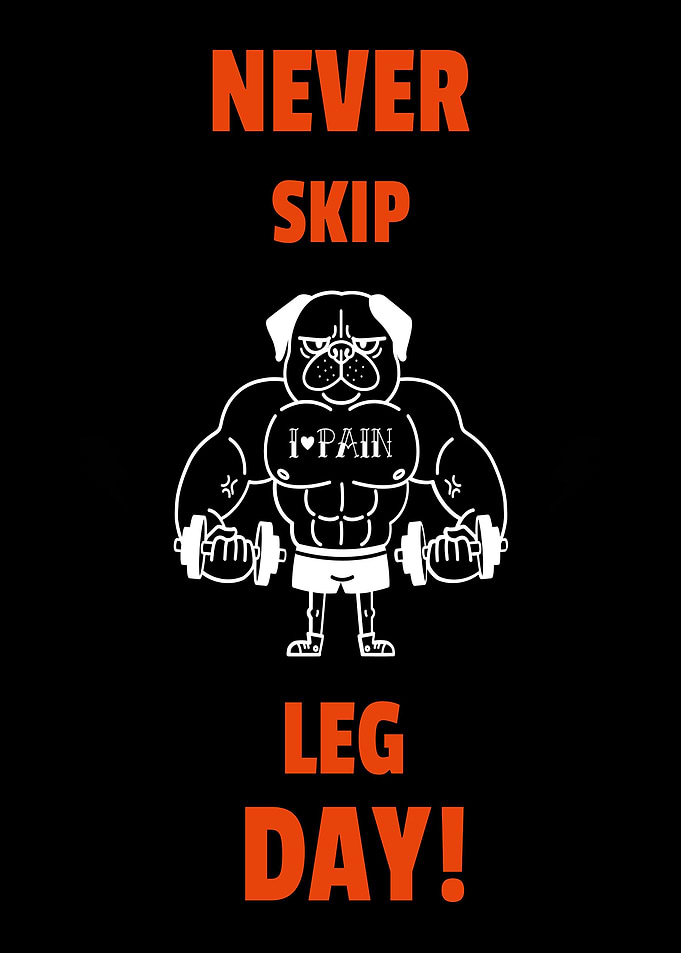 Leg Day Workout Funny