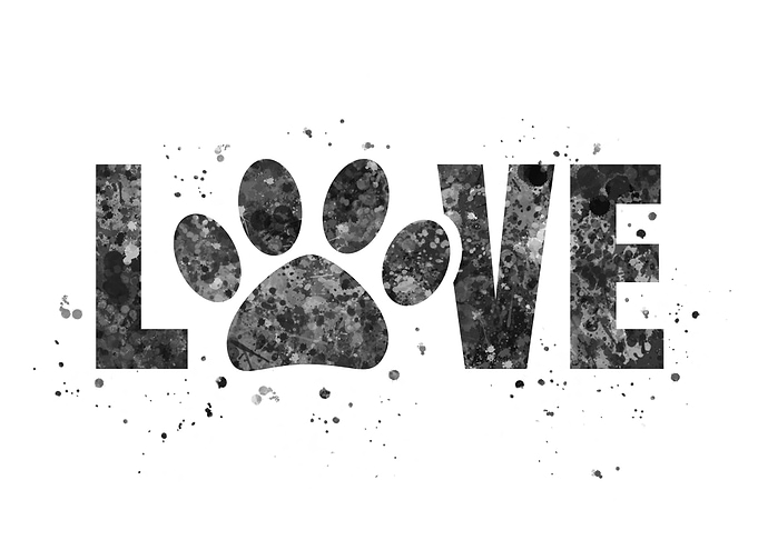Dog love paw