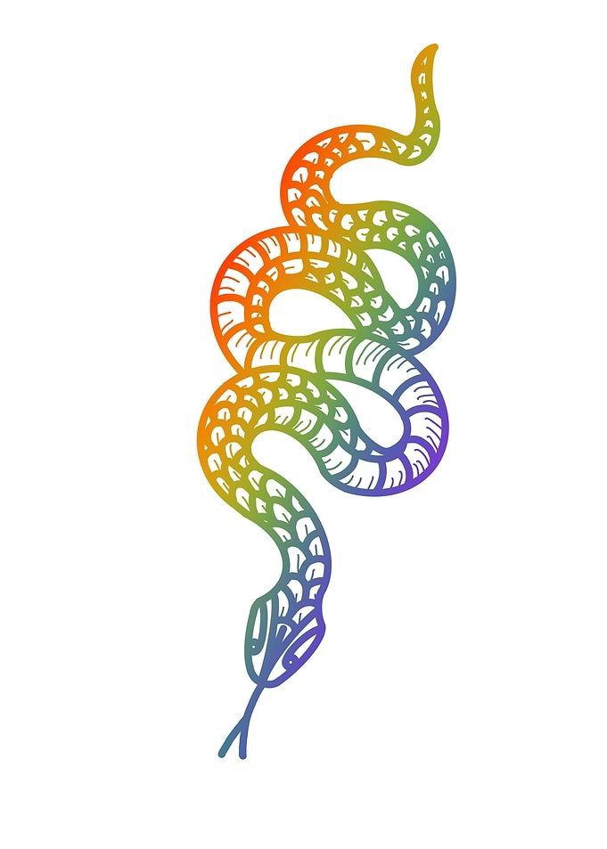 Gay Snake
