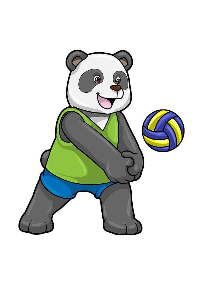 Panda Sports Volleyball