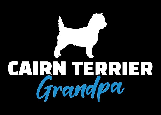 Cairn Terrier