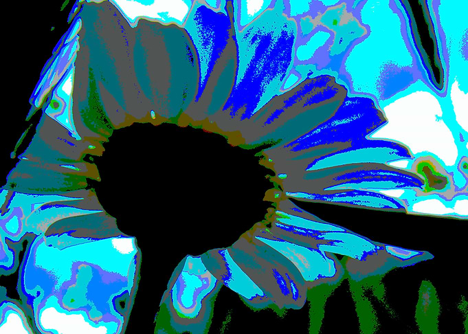 Daydreaming Daisy