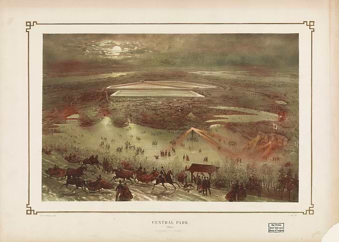 Central Park in the Winter
