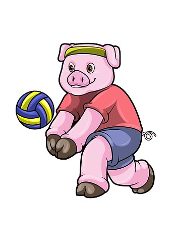 Pig Sports Volleyball