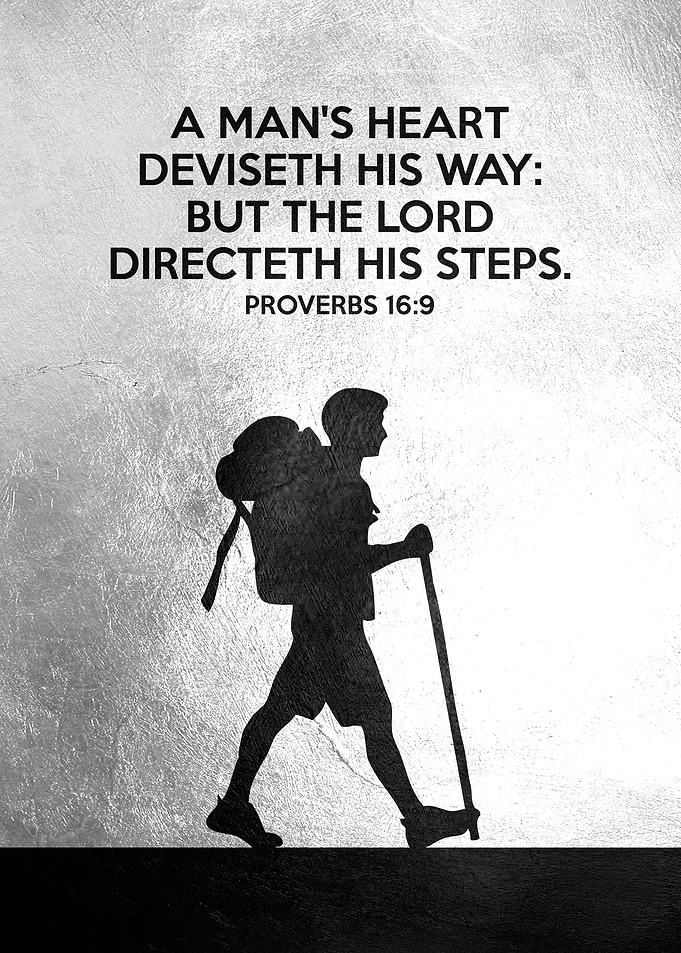 Proverbs 16 9