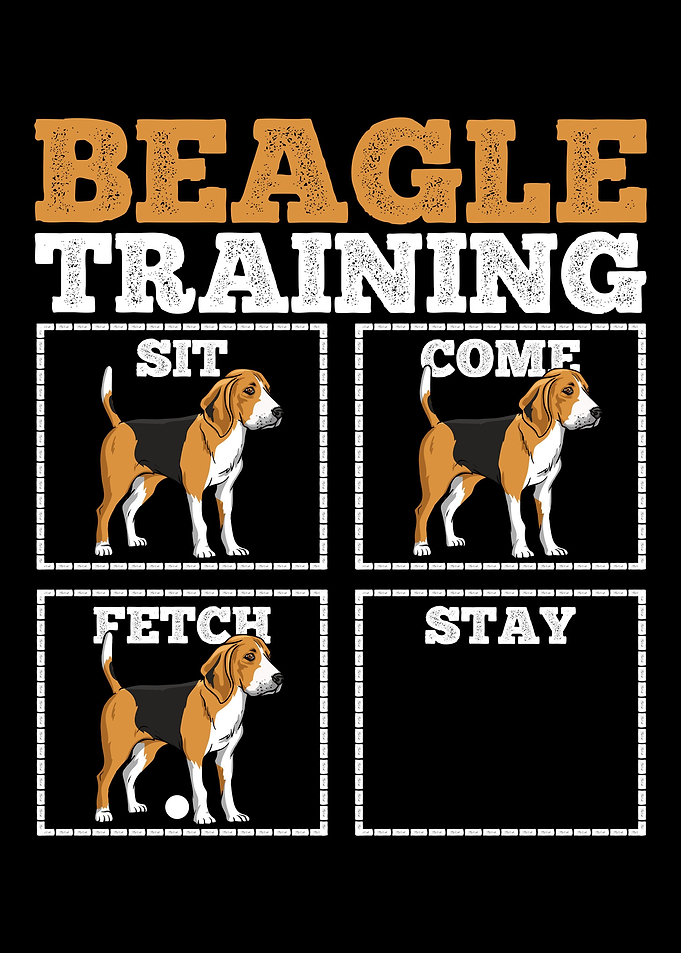 Beagle Dog Training Dog Tr
