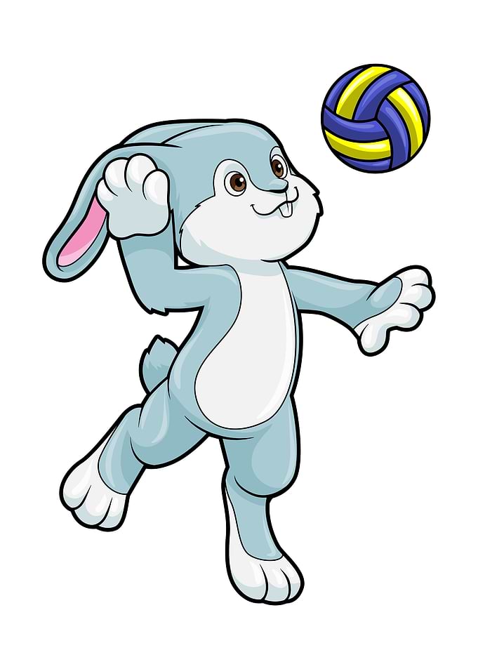 Rabbit Sports Volleyball