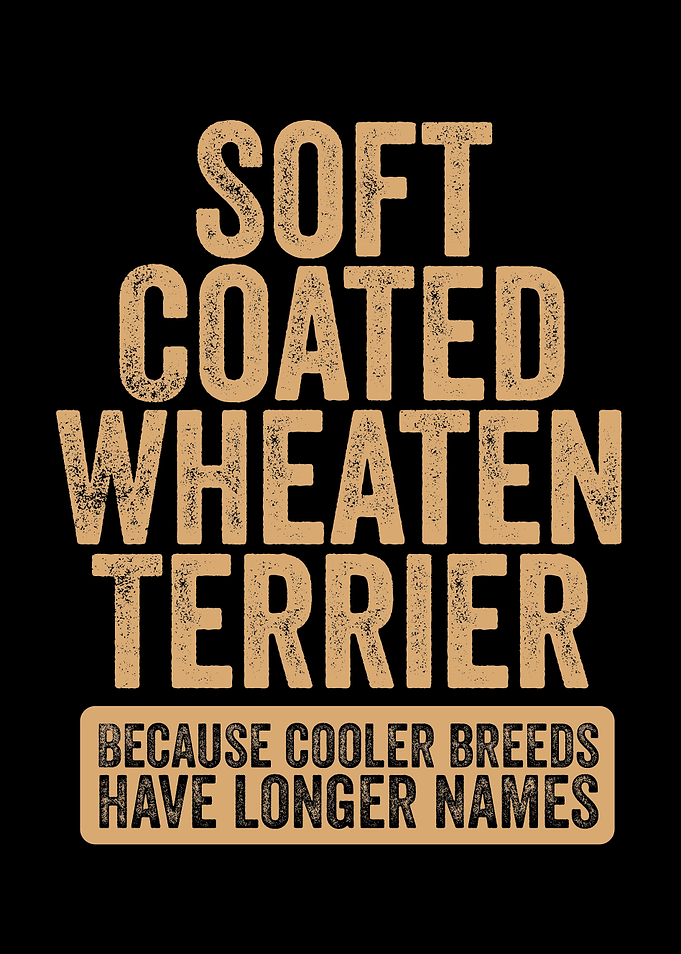 Soft Coated Wheaten