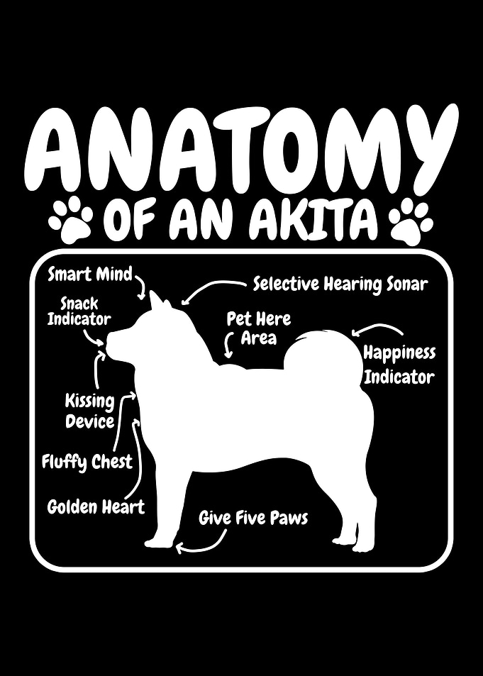 Akita Dog Anatomy